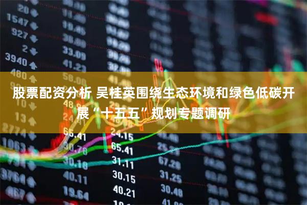 股票配资分析 吴桂英围绕生态环境和绿色低碳开展“十五五”规划专题调研