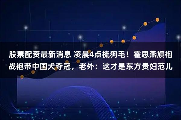 股票配资最新消息 凌晨4点梳狗毛！霍思燕旗袍战袍带中国犬夺冠，老外：这才是东方贵妇范儿